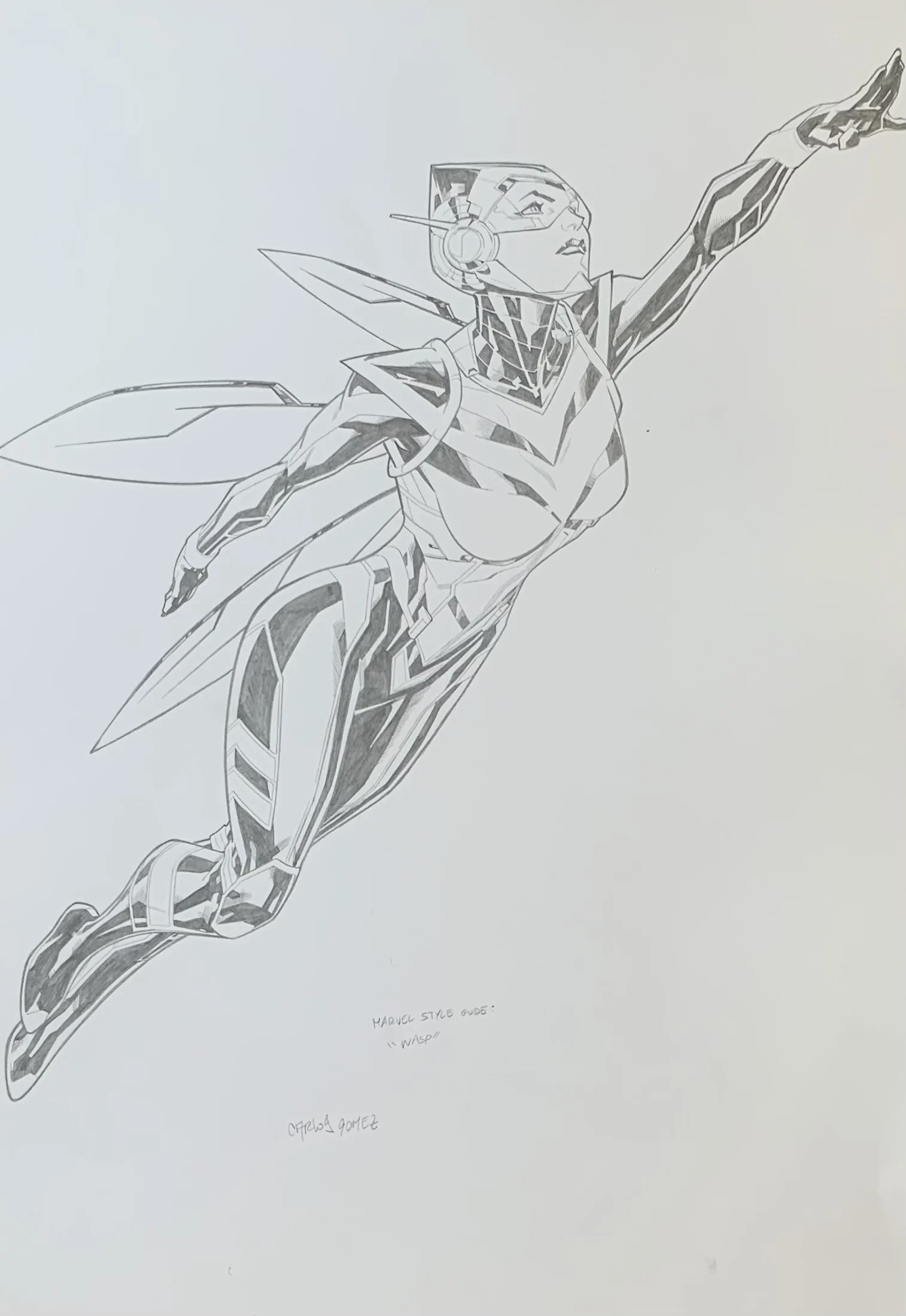 wasp